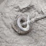 Пошаговая технология изготовления цементных смесей